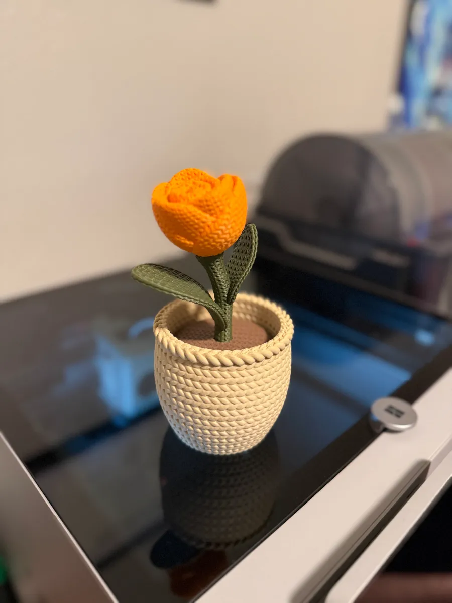 3D Printed Planter - Image 1